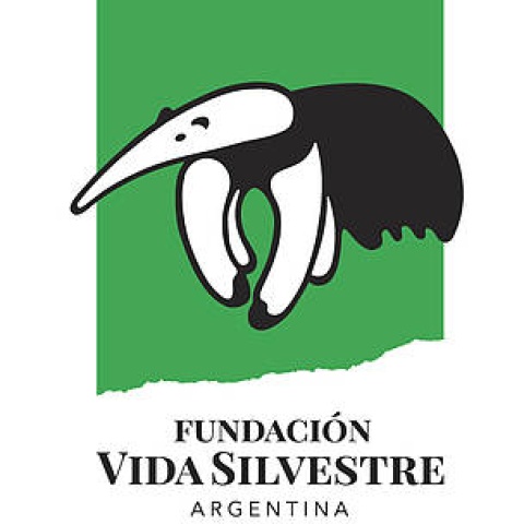 fundacion logo