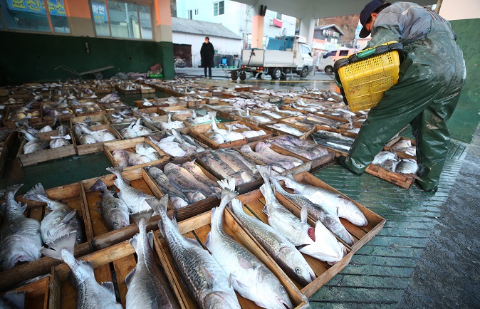 Fish Sale, Geoje, South Korea